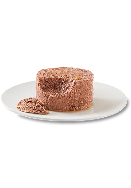 OASY CAPRICE Mousse דגי אוקיינוס