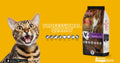 Maxima Cat Beef 15kg